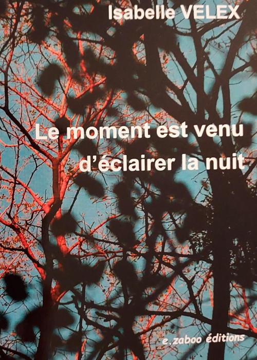 Le moment est venu d'éclairer la nuit - Isabelle VELEX